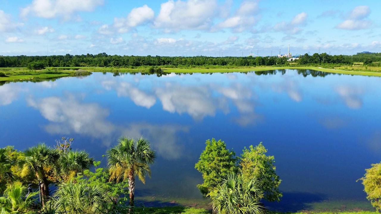 Dream Castle Lägenhet Kissimmee Exteriör bild